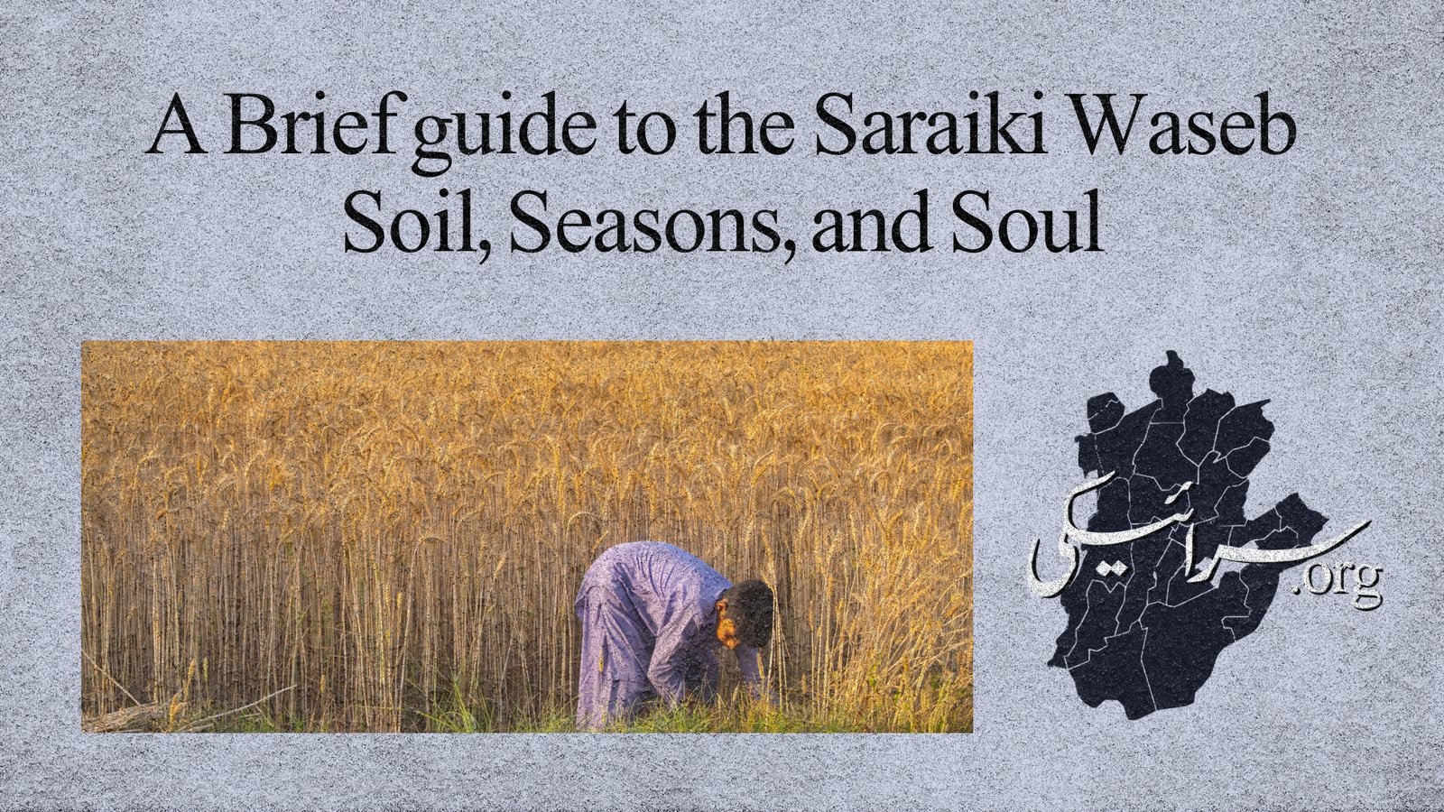 A Brief guide to the Saraiki Waseb