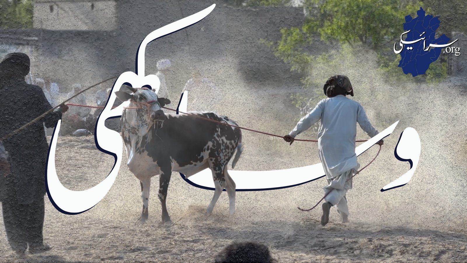 Vaisakhi: The Agricultural Legacy of the Saraiki Waseb